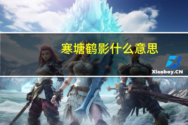 寒塘鹤影什么意思