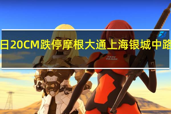 寒武纪今日20CM跌停 摩根大通上海银城中路营业部净卖出1.3亿元