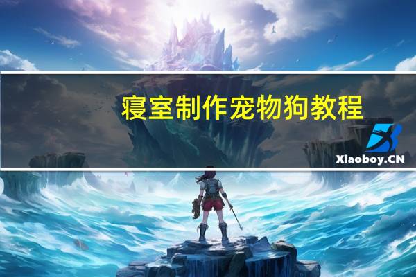 寝室制作宠物狗教程