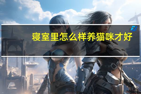 寝室里怎么样养猫咪才好