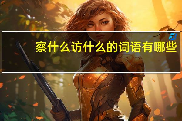 察什么访什么的词语有哪些?