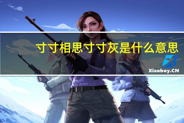 寸寸相思寸寸灰是什么意思
