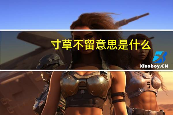 寸草不留意思是什么