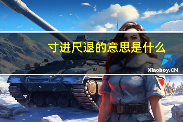 寸进尺退的意思是什么
