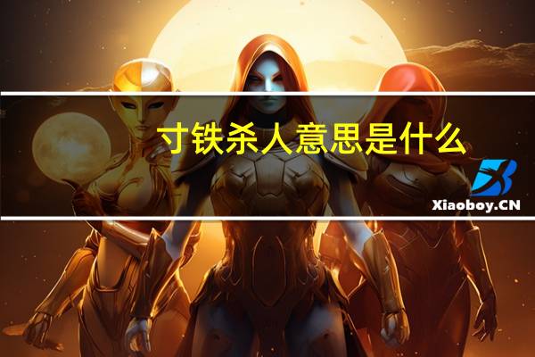 寸铁杀人意思是什么