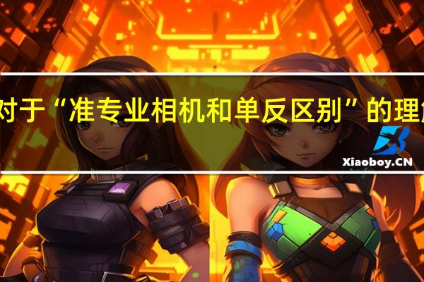 对于“准专业相机和单反区别”的理解问题。