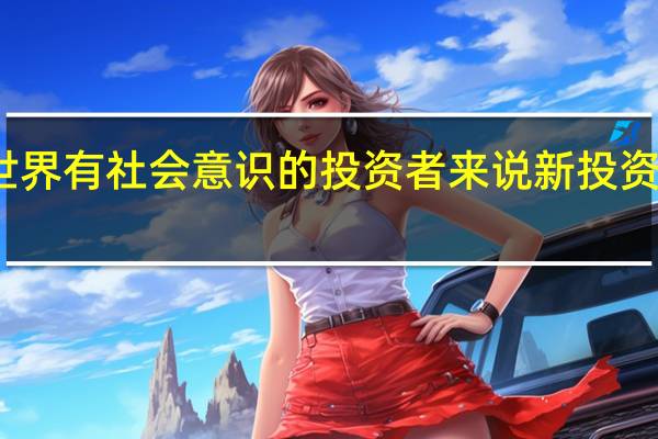 对于全世界有社会意识的投资者来说 新投资者流动网络就