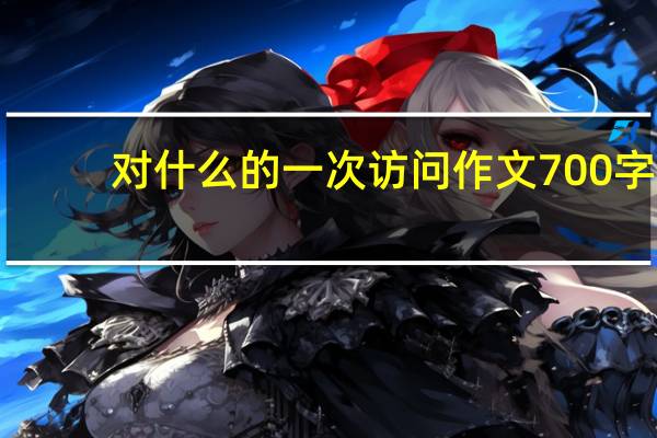 对什么的一次访问作文700字（对什么的一次访问作文）