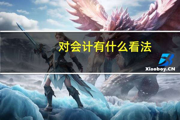 对会计有什么看法