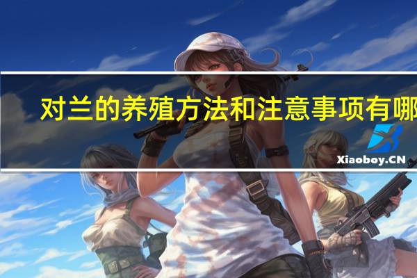 对兰的养殖方法和注意事项有哪些
