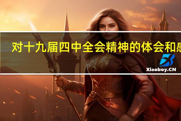 对十九届四中全会精神的体会和感受