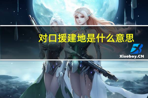 对口援建地是什么意思