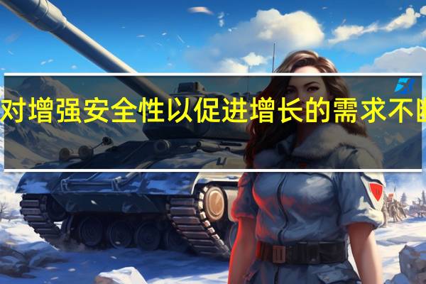 对增强安全性以促进增长的需求不断增长