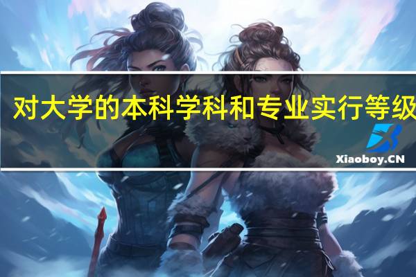 对大学的本科学科和专业实行等级评价，共为分A++、A+、A、B+、B、C+、C、D+、D、E+、E十一个等级。