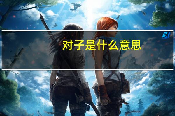对子是什么意思