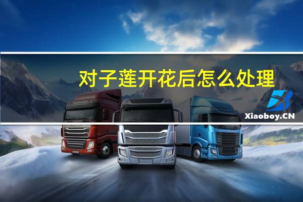 对子莲开花后怎么处理