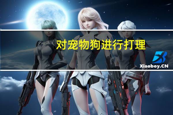对宠物狗进行打理