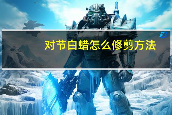 对节白蜡怎么修剪方法
