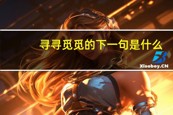 寻寻觅觅的下一句是什么