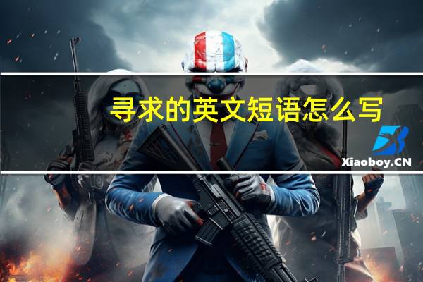 寻求的英文短语怎么写