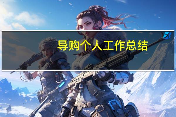 导购个人工作总结