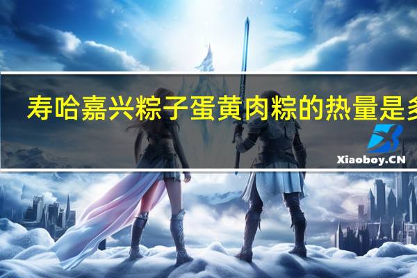寿哈 嘉兴粽子 蛋黄肉粽的热量是多少
