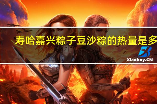 寿哈 嘉兴粽子 豆沙粽的热量是多少
