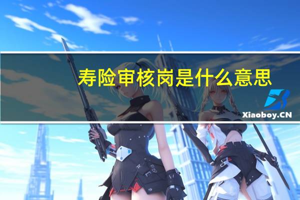 寿险审核岗是什么意思