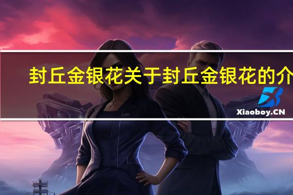 封丘金银花 关于封丘金银花的介绍