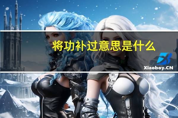 将功补过意思是什么
