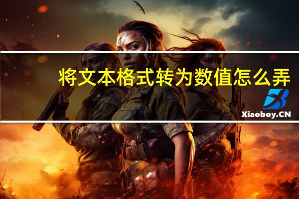 将文本格式转为数值怎么弄（将文本格式转为数值）