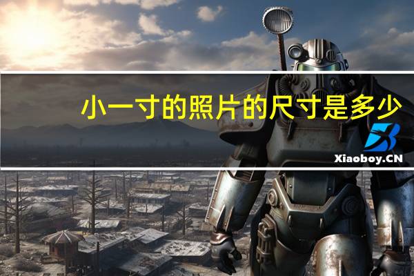 小一寸的照片的尺寸是多少（小1寸照片的尺寸是多少）