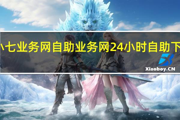 小七业务网 自助业务网24小时自助下单商城(小七平台怎么样)