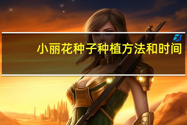 小丽花种子种植方法和时间