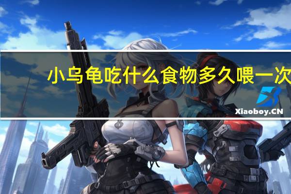 小乌龟吃什么食物多久喂一次（小乌龟吃什么）