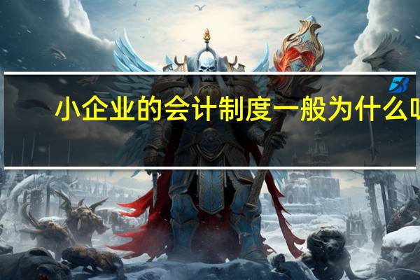 小企业的会计制度一般为什么呀