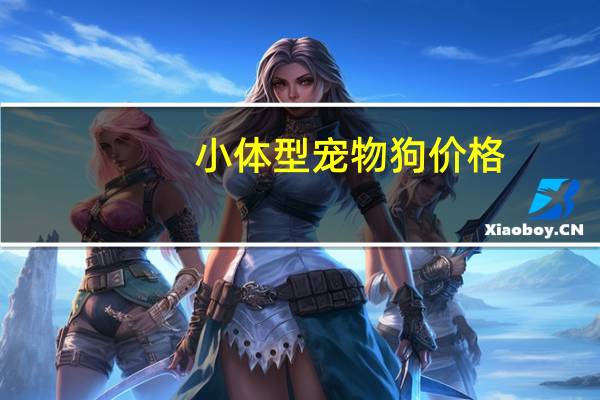 小体型宠物狗价格