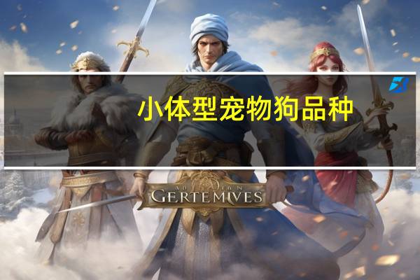 小体型宠物狗品种