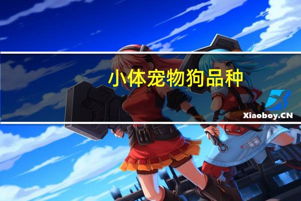 小体宠物狗品种