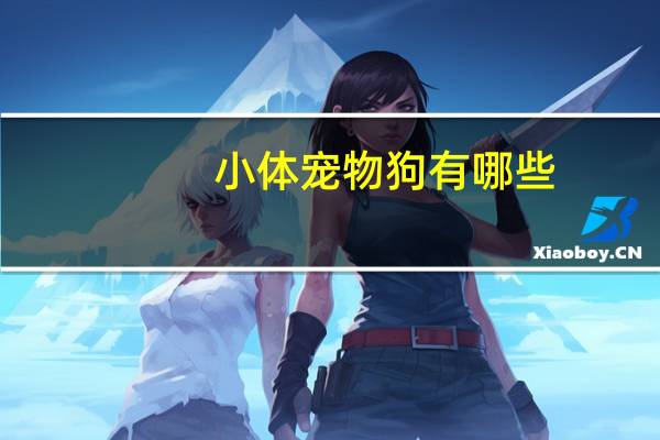 小体宠物狗有哪些