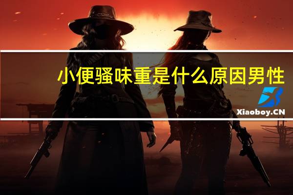 小便骚味重是什么原因男性(小便骚味重是什么原因)