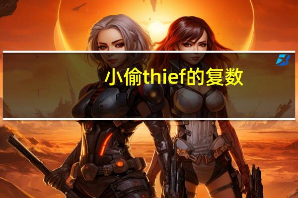小偷thief的复数