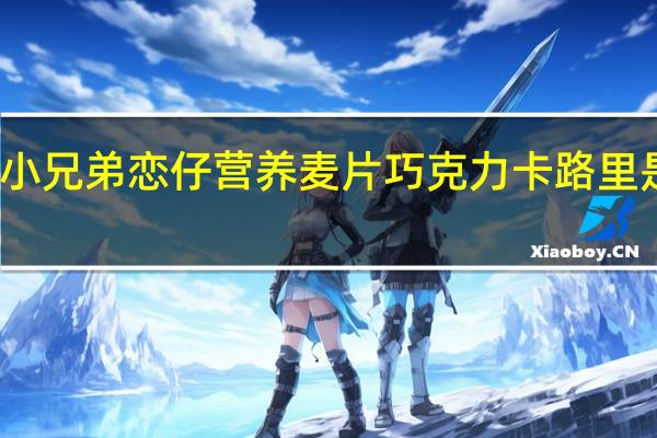 小兄弟 恋仔 营养麦片巧克力卡路里是多少