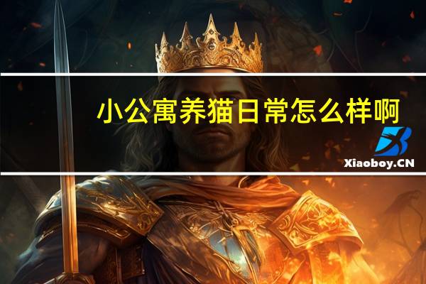 小公寓养猫日常怎么样啊