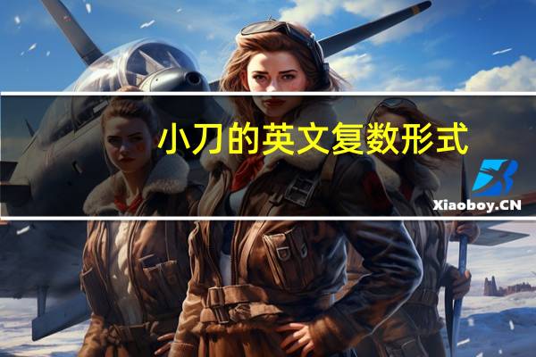 小刀的英文复数形式