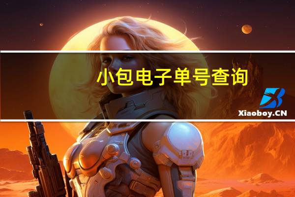 小包电子单号查询（国内小包单号查询）