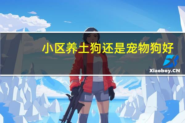 小区养土狗还是宠物狗好