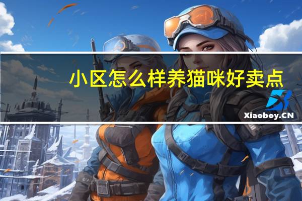 小区怎么样养猫咪好卖点