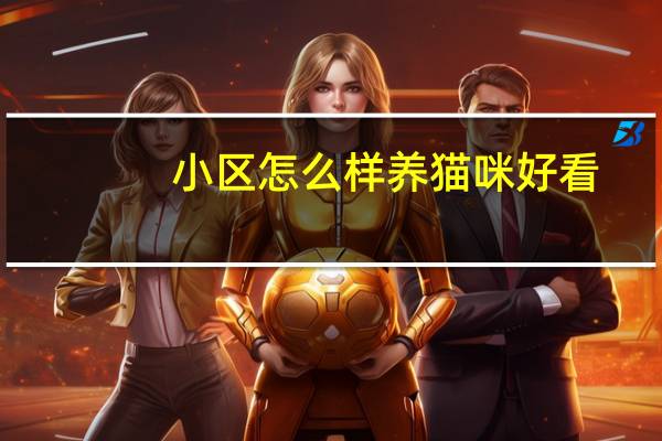 小区怎么样养猫咪好看