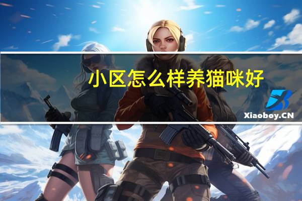 小区怎么样养猫咪好